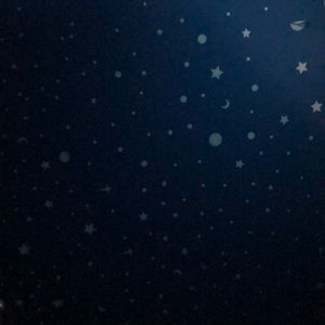 Meet your Posher, Moises